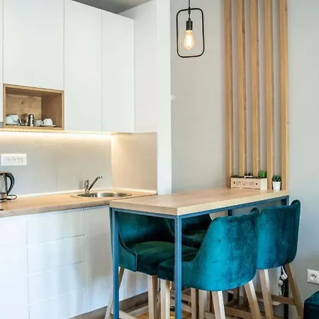 公寓 Zvezda Lux Titova