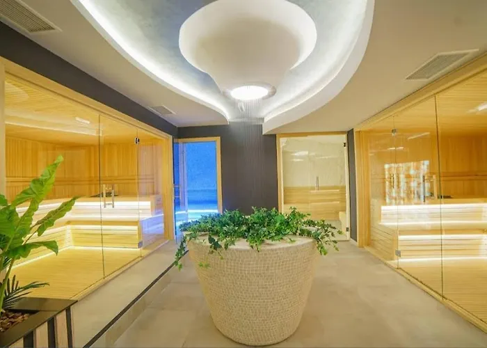 Apartament Zvezda Lux Titova *